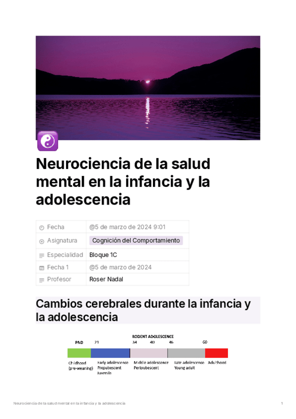 Miniatura del documento 229209b2-746e-4c8e-b36e-30d1f4c5ed01Neurocienciadelasaludmentalenlainfanciaylaadolescencia.pdf