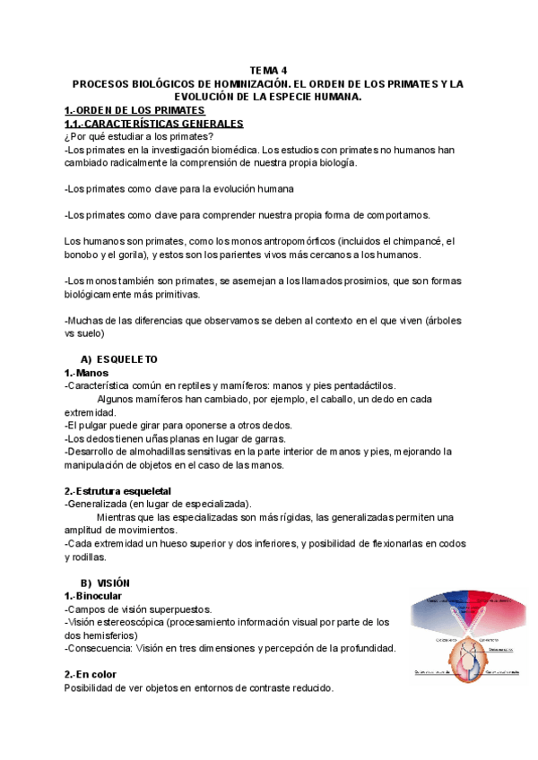 Miniatura del documento Tema-4-Procesos-biologicos-de-hominizacion.-El-orden-de-los-primates-y-la-evolucion-de-la-especie-humana.-1.pdf