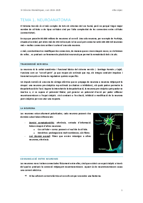 Miniatura del documento Tema-1.-Neuroanatomia.pdf