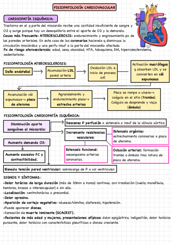 Miniatura del documento FISIOPATOLOGIA-CARDIOVASCULAR.pdf