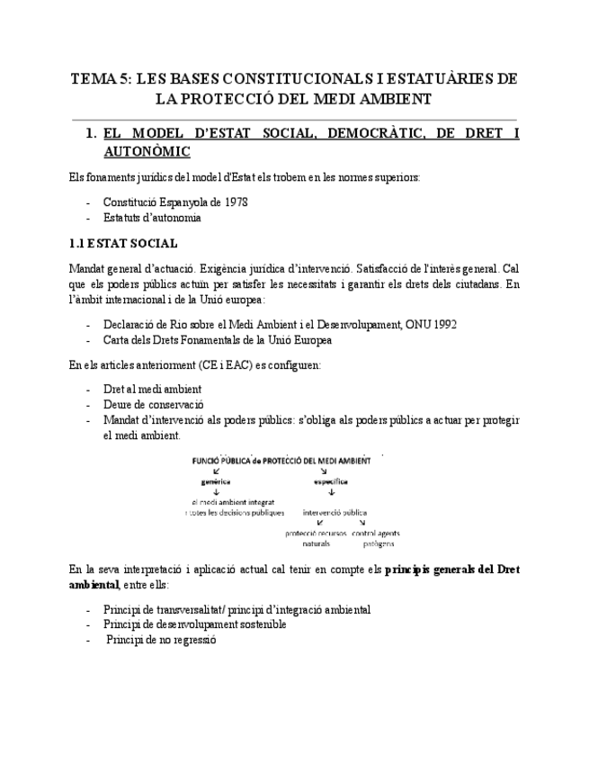 Miniatura del documento TEMA-5-LES-BASES-CONSTITUCIONALS-I-ESTATUARIES-DE-LA-PROTECCIO-DEL-MEDI-AMBIENT-II.pdf