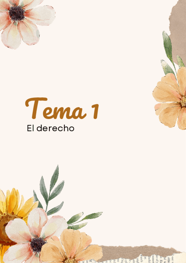 Miniatura del documento Tema-1.-El-derecho.pdf
