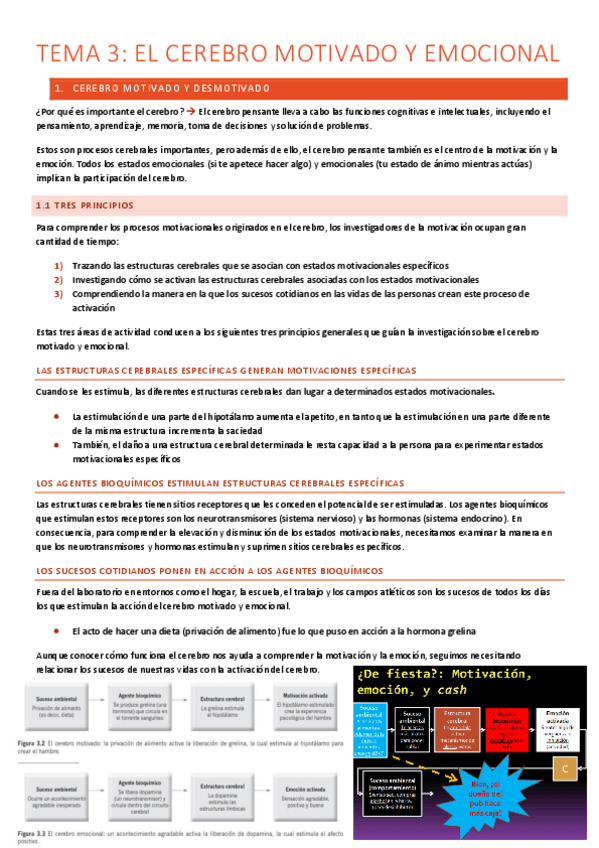 Miniatura del documento T.3-El-cerebro-motivado-y-emocional.pdf