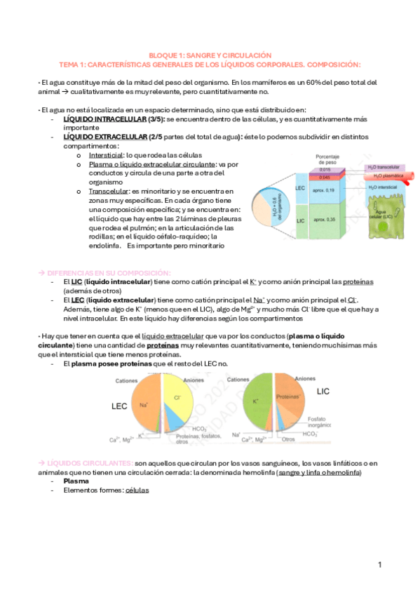 Miniatura del documento TEMA-1-2-FA.pdf