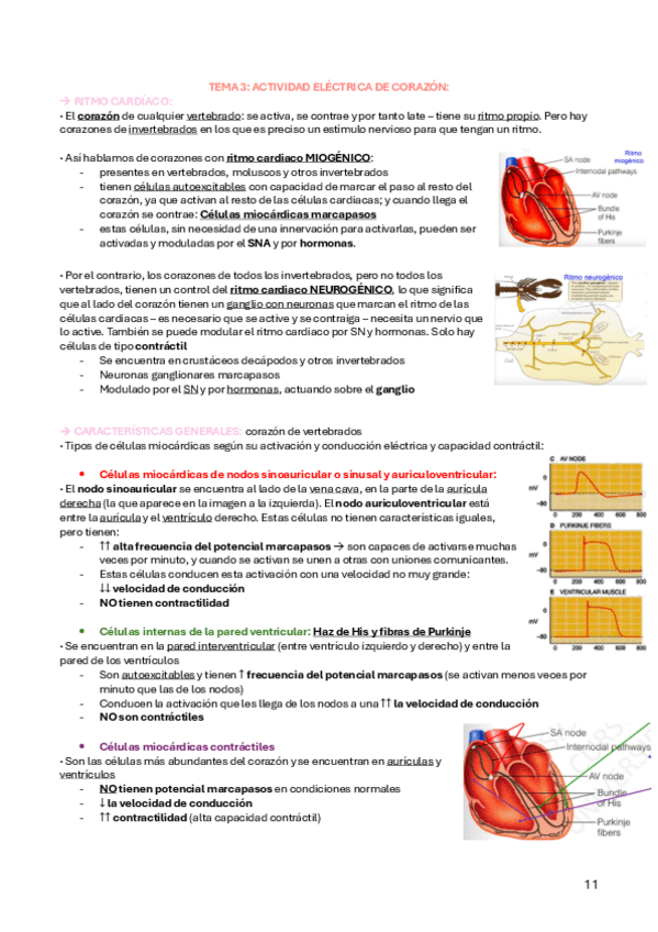 Miniatura del documento TEMA-3-4-FA.pdf