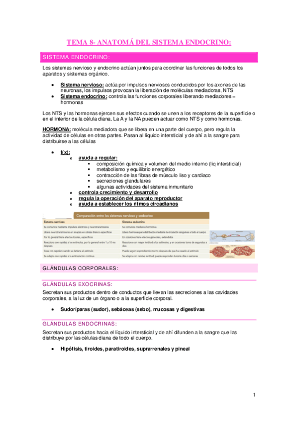Miniatura del documento Tema-8-Sistema-endocrino.pdf