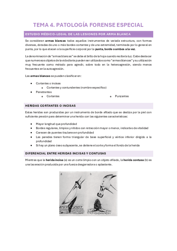 Miniatura del documento T4-Patologia-forense-especial.pdf