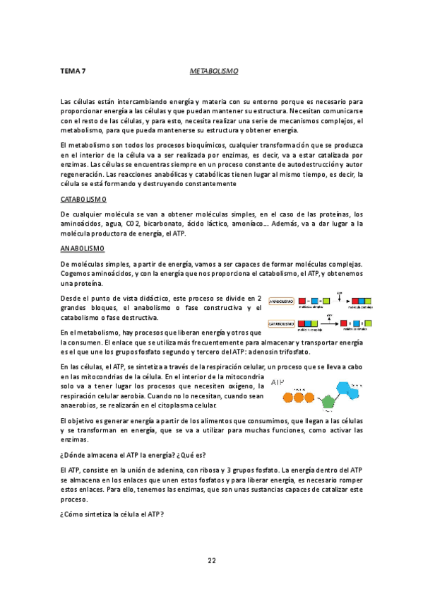 Miniatura del documento Metabolismo-Bioquimica-Martin.pdf