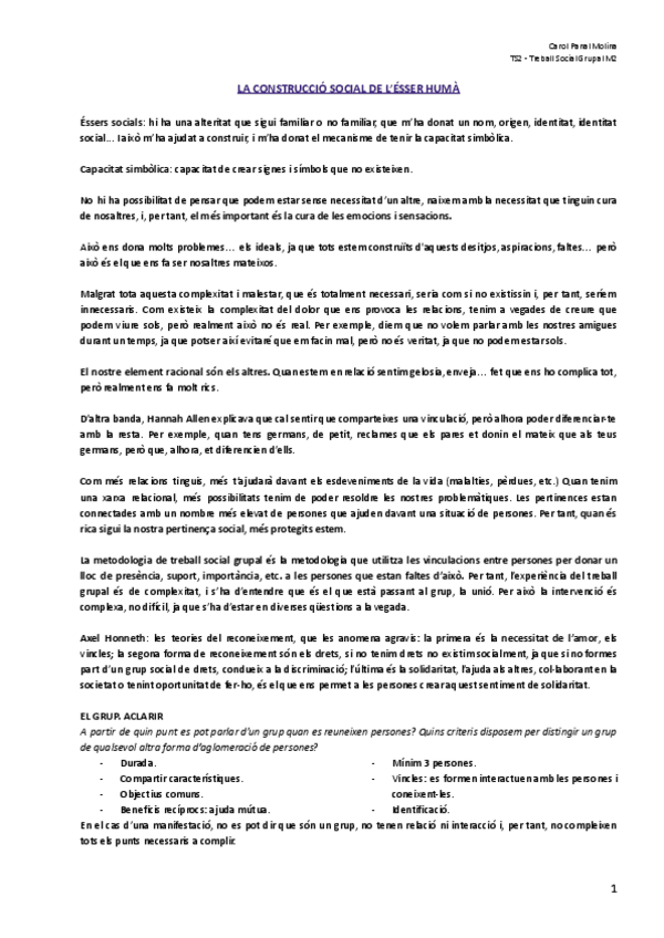 Miniatura del documento TS-GRUPAL-TOT-EL-CURS.pdf