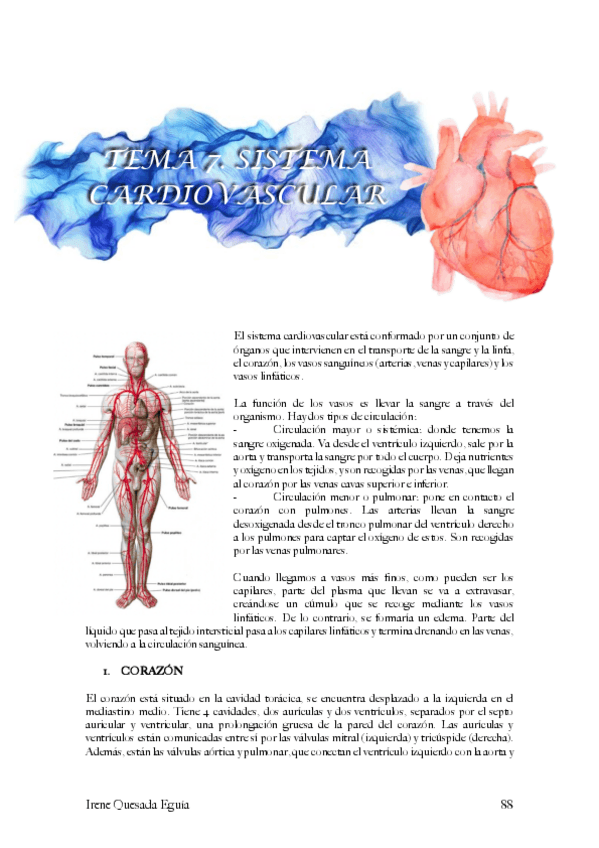Miniatura del documento Histologia-sistema-cardiovascular.pdf