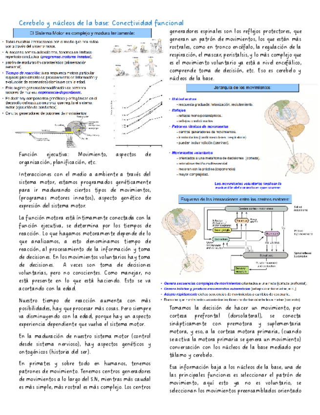 Miniatura del documento Cerebelo-y-nucleos-de-la-base-Conectividad-funcional.pdf