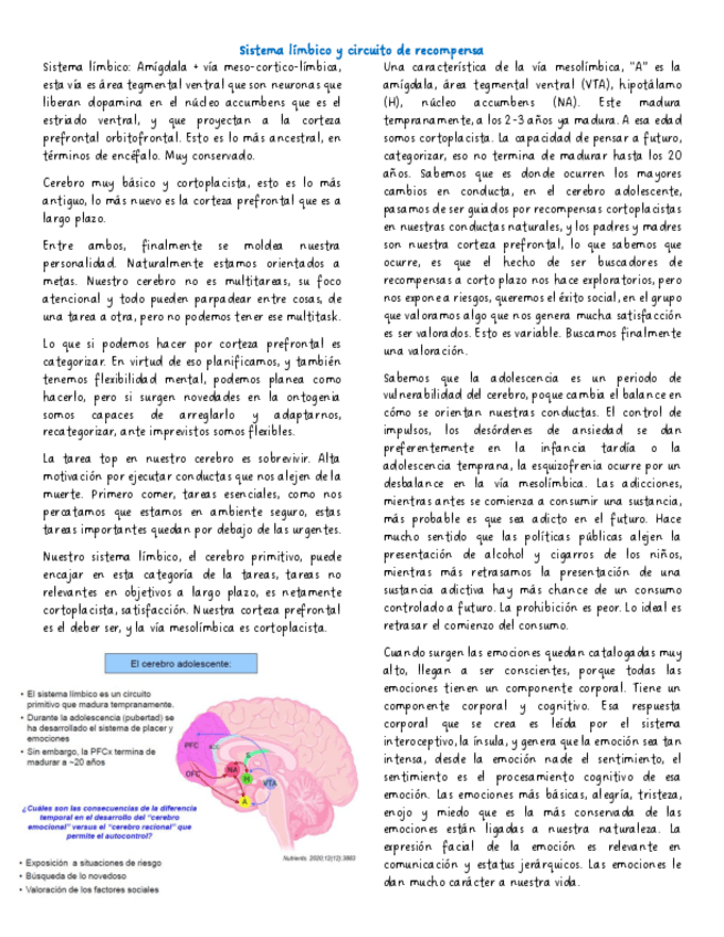 Miniatura del documento Sistema-limbico-y-circuito-de-recompensa.pdf