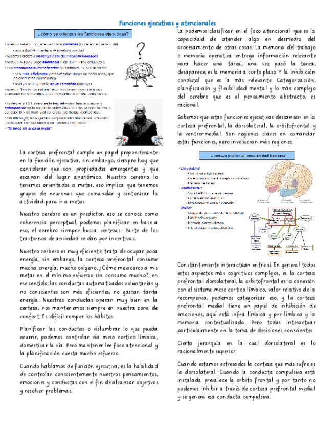 Miniatura del documento Funciones-ejecutivas-y-atencionales.pdf