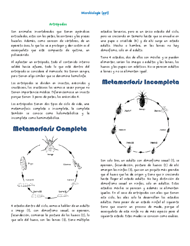 Miniatura del documento Artropodos.pdf