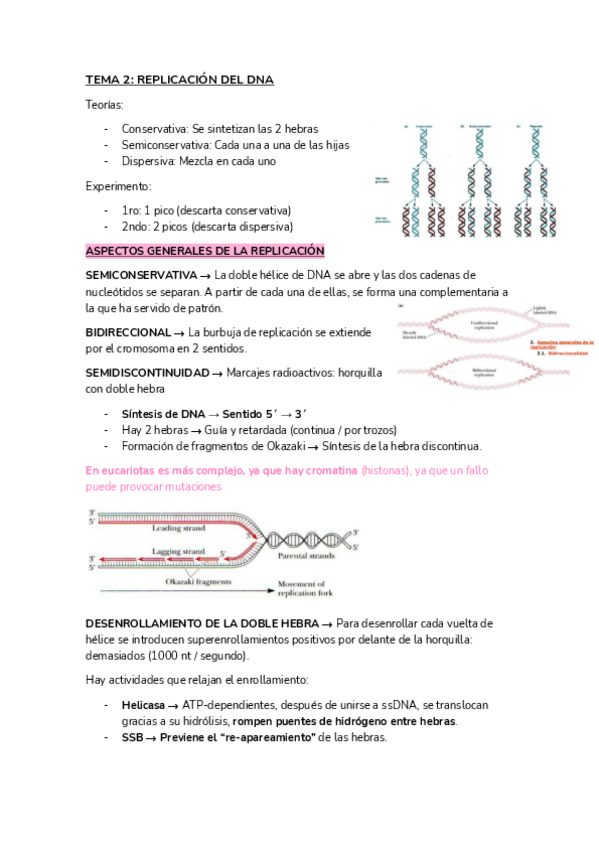 Miniatura del documento BMC-I-TEMA-2.pdf