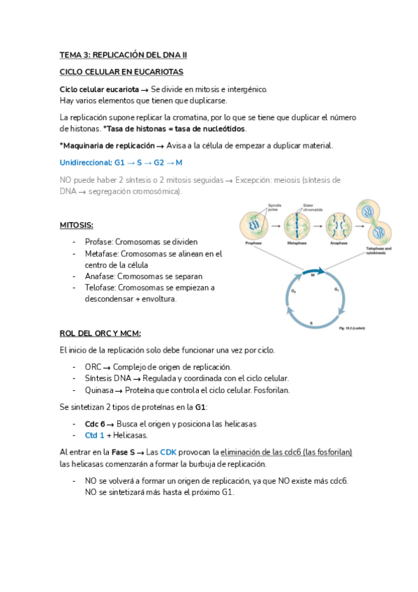 Miniatura del documento BMC-I-TEMA-3.pdf