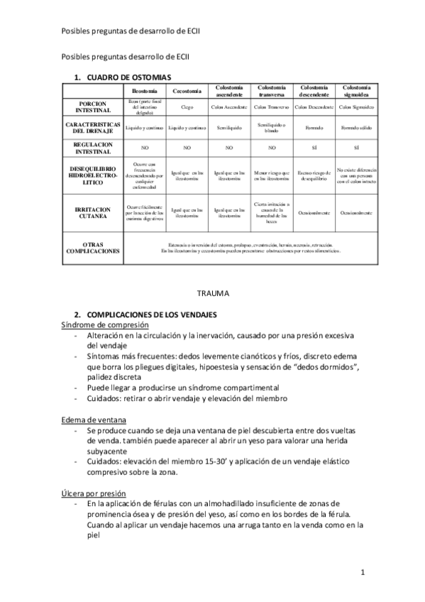Miniatura del documento Posibles-preguntas-desarrollo.pdf
