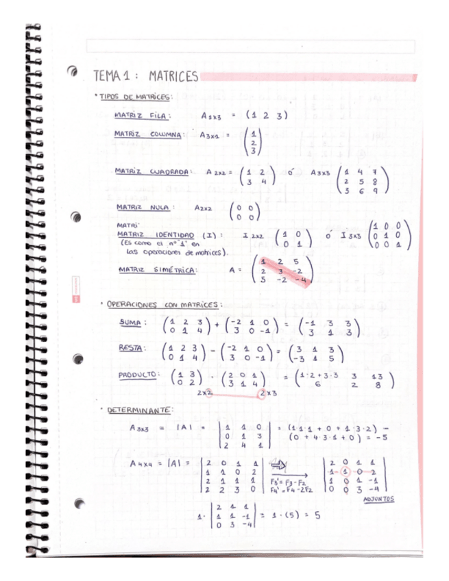 Miniatura del documento Apuntes-completos-Matematicas-I.pdf