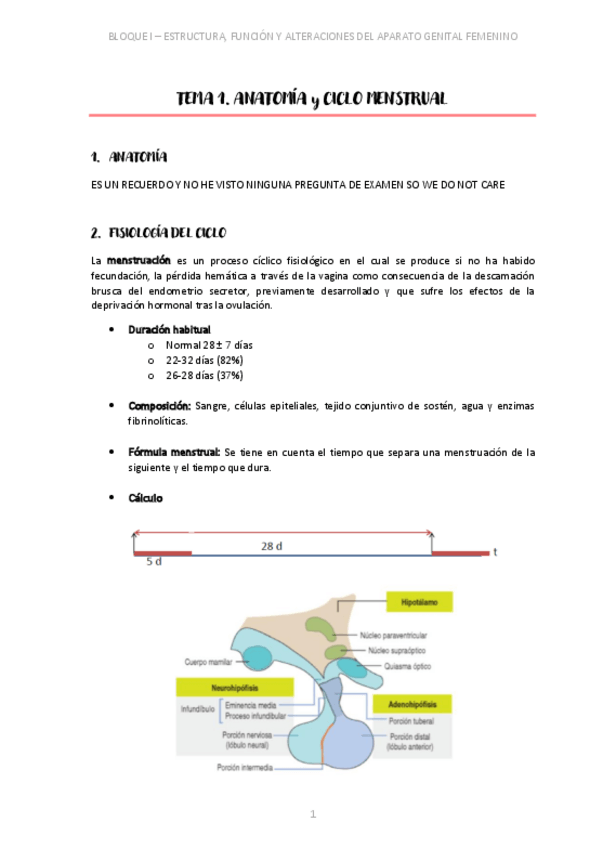 Miniatura del documento SALUD-DE-LA-MUJER.pdf