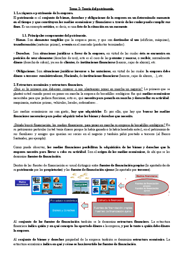 Miniatura del documento Tema-2-Teoria-del-patrimonio..pdf