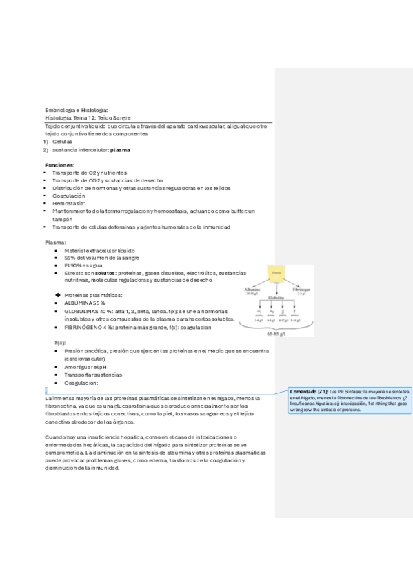 Miniatura del documento Hist-T12-Tej-Sangre-FIN-try-2.pdf