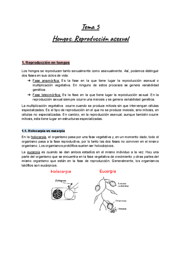 Miniatura del documento Apuntes-Tema-5-Botanica-I-Hongos.-Reproduccion-asexual.pdf