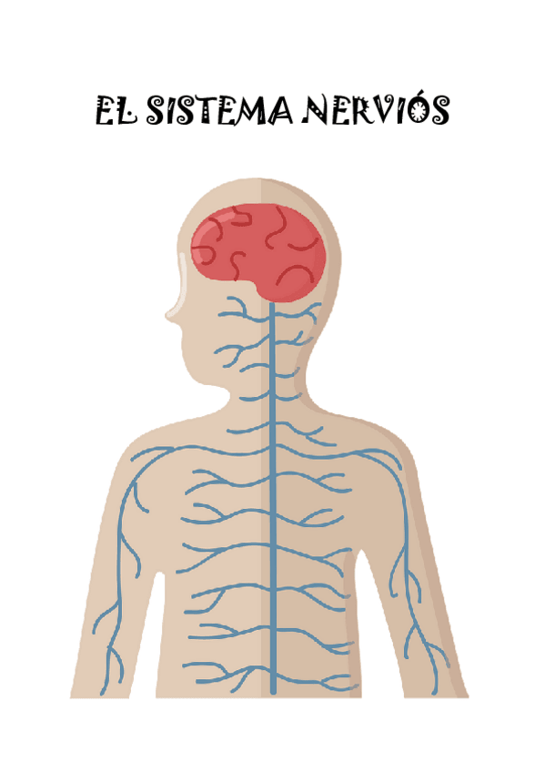 Miniatura del documento EL-SISTEMA-NERVIOS.pdf