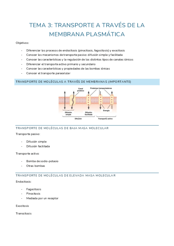 Miniatura del documento tema 3: transporte a través de la membrana.pdf