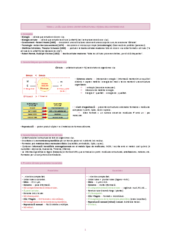 Miniatura del documento TEMA-1.-LA-CELLULA-COM-A-UNITAT-ESTRUCTURAL-I-FXNAL-DELS-SISTEMES-VIUS.pdf