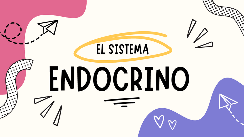 Miniatura del documento El-sistema-endocrino.pdf