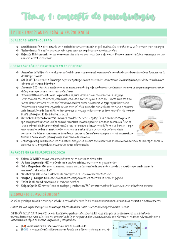 Miniatura del documento APUNTES-TEMA-1.pdf