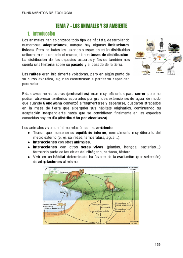 Miniatura del documento T7-ZOOLGIA-LOS-ANIMALES-Y-SU-AMBIENTE.pdf