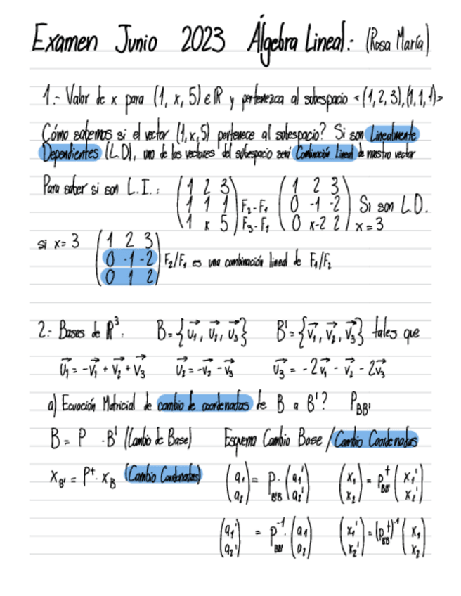 Miniatura del documento EXAMEN-AL-JUNIO-2023-RESUELTO-ROSA.pdf