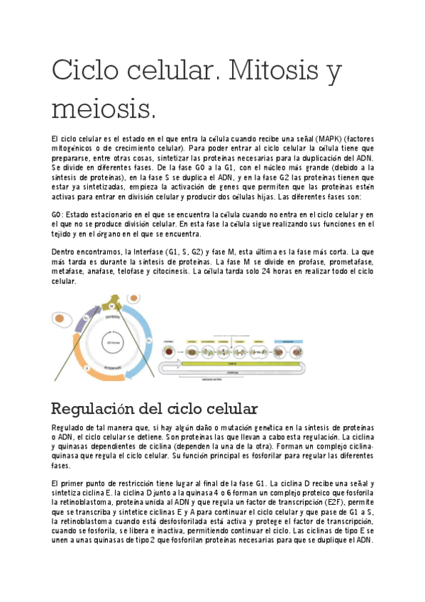 Miniatura del documento Ciclo-celular.pdf