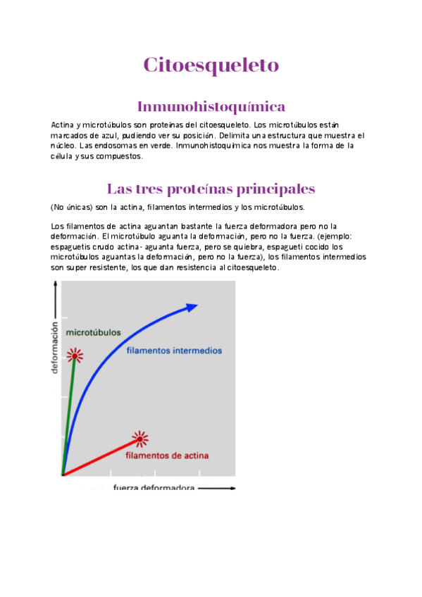 Miniatura del documento citoesqueleto.pdf