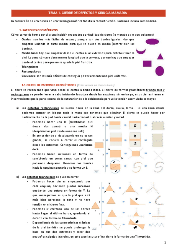 Miniatura del documento Piel-y-Tejido-Conjuntivo-Subcutaneo.pdf