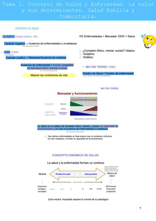 Miniatura del documento Apuntes-salud-acabados.pdf