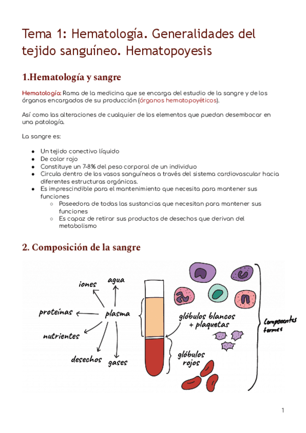 Miniatura del documento T.1.-Hematologia.-Generalidades-del-tejido-sanguineo.-Hematopoyesis-3.pdf