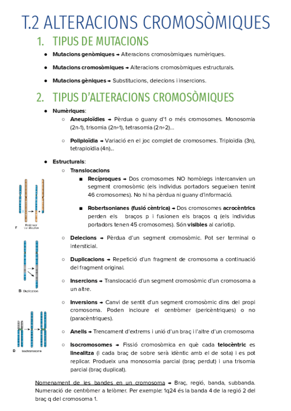 Miniatura del documento T.2-ALTERACIONS-CROMOSOMIQUES-EN-PROCES.pdf