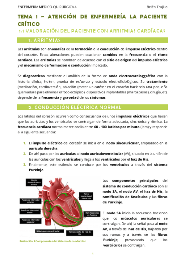 Miniatura del documento MQ4-Tema1-PacienteCritico-1PacienteArritmias.pdf