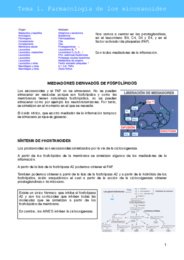 Miniatura del documento Apuntes-bloque-1.pdf