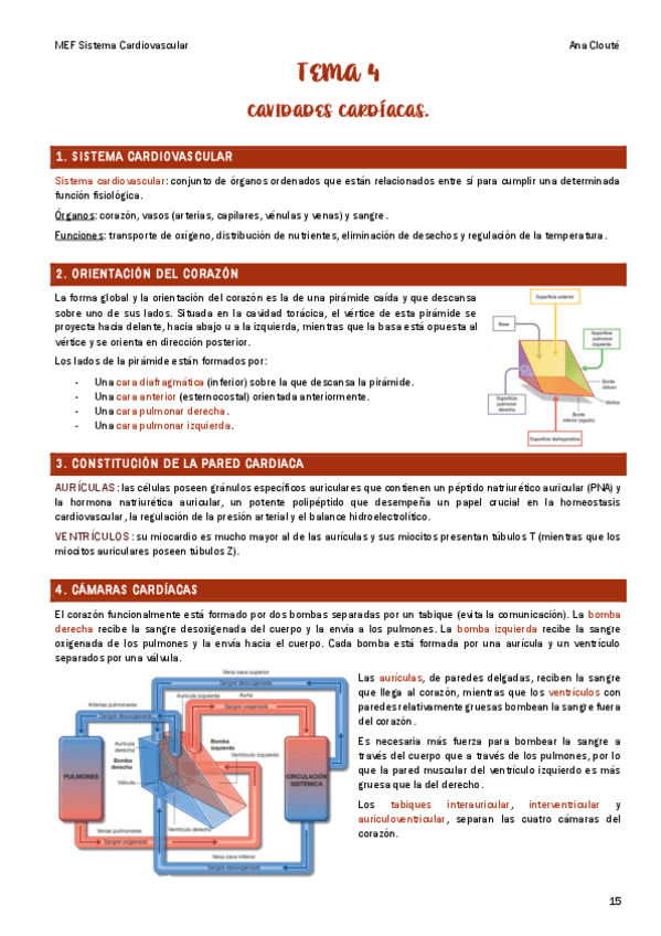 Miniatura del documento Tema-4.pdf