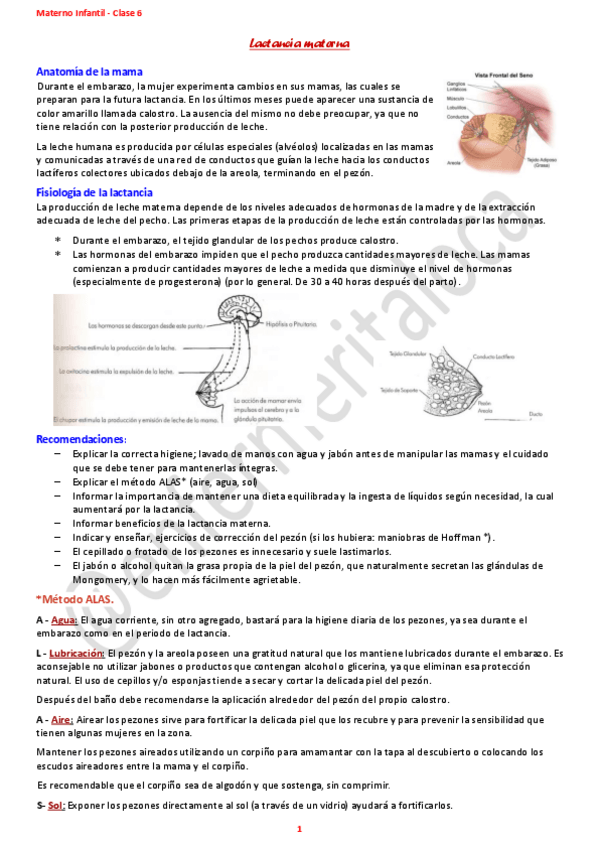 Miniatura del documento Materno-clase-6.pdf