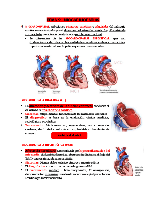 Miniatura del documento TEMA-2.-MIOCARDIOPATIAS.pdf