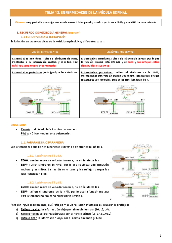 Miniatura del documento Neurologia.pdf