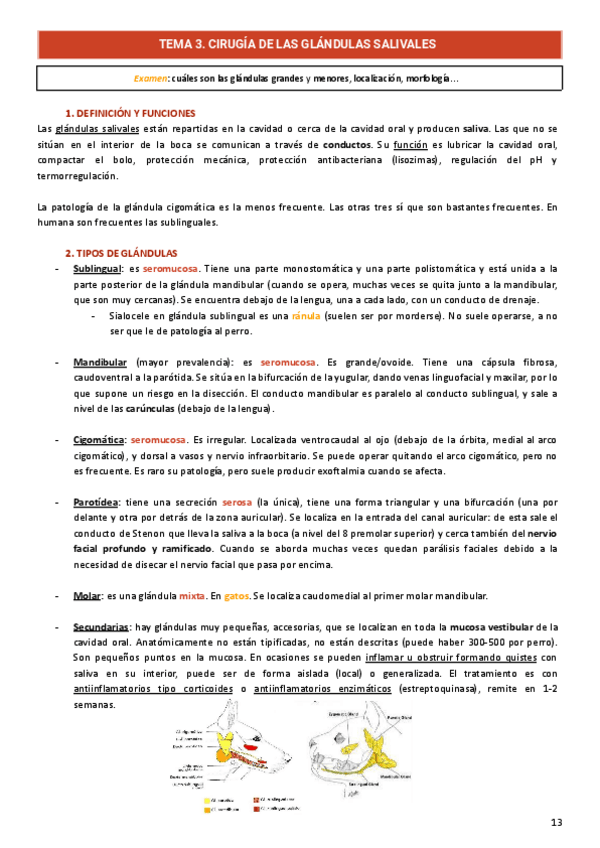 Miniatura del documento Aparato-Digestivo-y-Abdominal.pdf