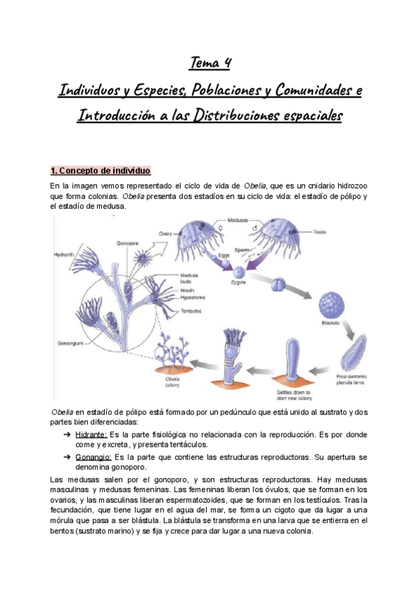 Miniatura del documento Apuntes-PIM-Ecologia-Tema-4-Individuos-y-Especies-Poblaciones-y-Comunidades-e-Introduccion-a-las-Distribuciones-espaciales.pdf