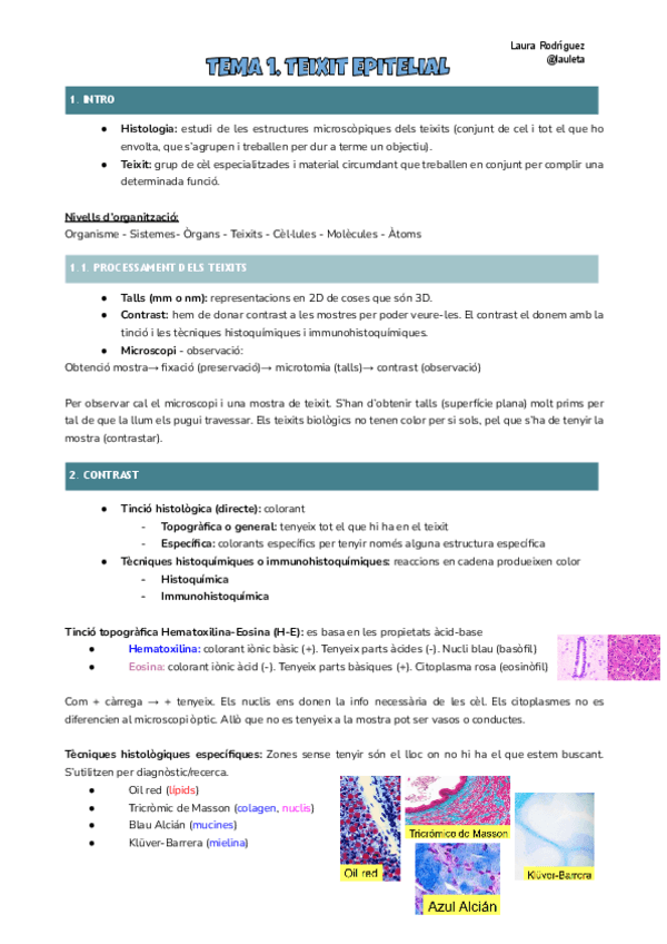 Miniatura del documento Tema-1-histologia.pdf