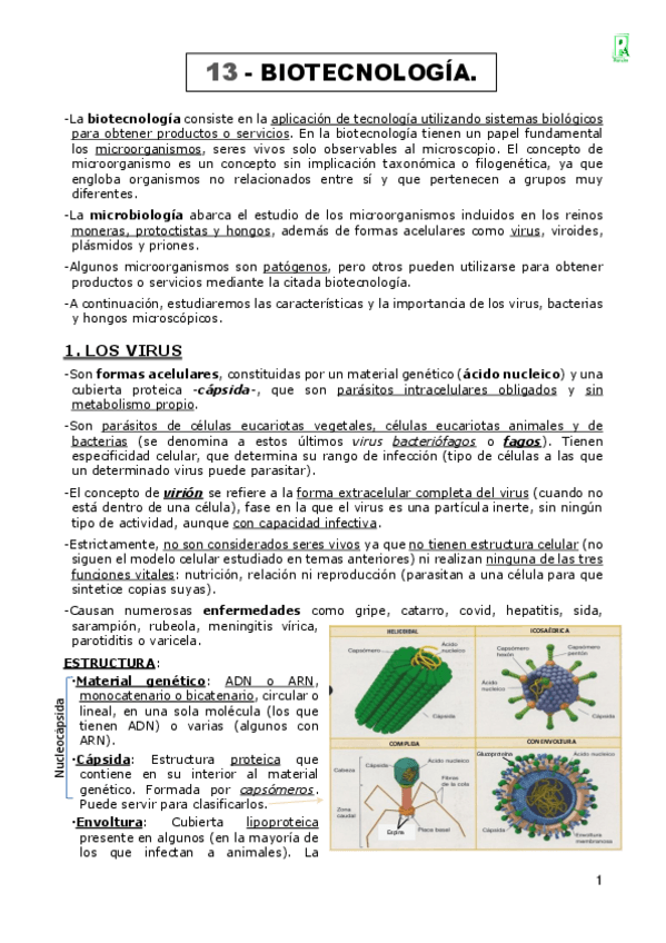 Miniatura del documento 13-BIOTECNOLOGIA.pdf