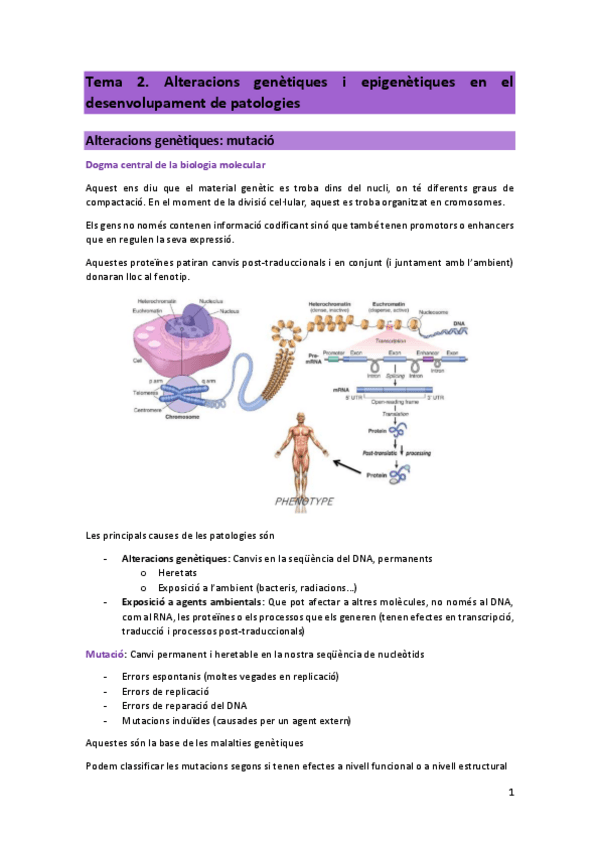 Miniatura del documento T2-PCM.pdf